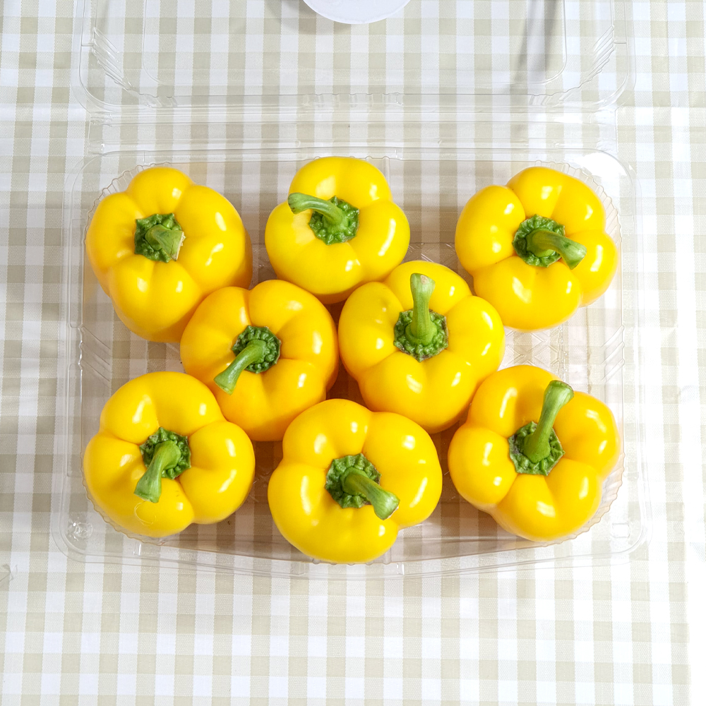 노랑 파프리카 1.5kg