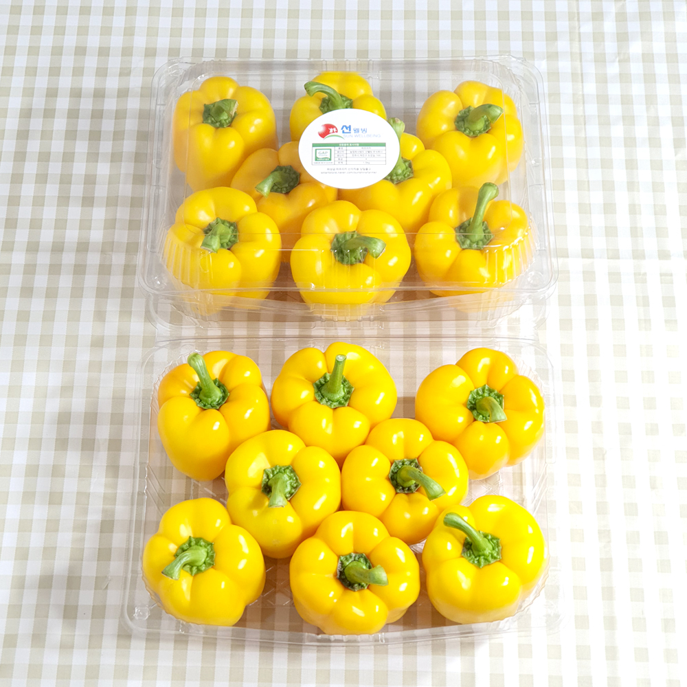 노랑 파프리카 3kg