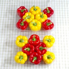 혼합(빨강+노랑)파프리카 3kg